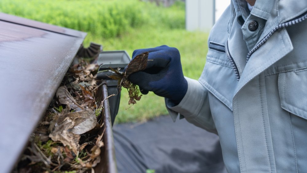 Gutter Cleaning